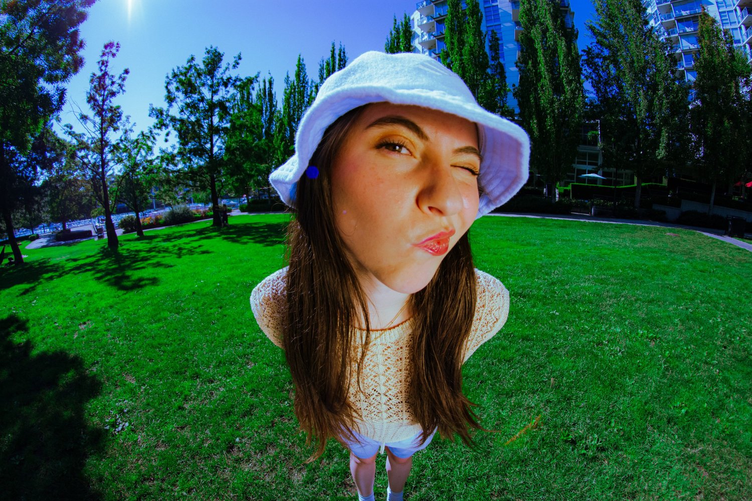 THE PICNIC COLLECTION